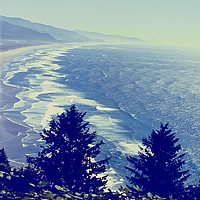 Click for larger view